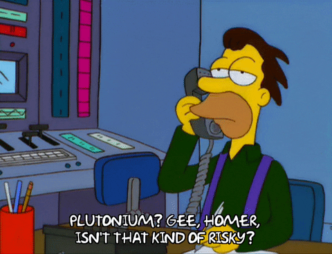 Simpsons character saying 'Isn't that kind of risky'.