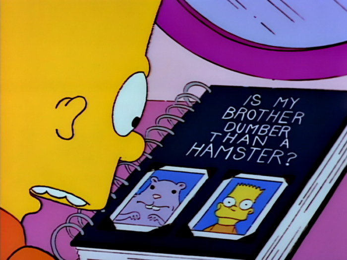 Bart Simpson looking at a book that's titled Is My Brother Dumber Than a Hamster